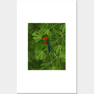 Fig Tree Parrot Posters and Art